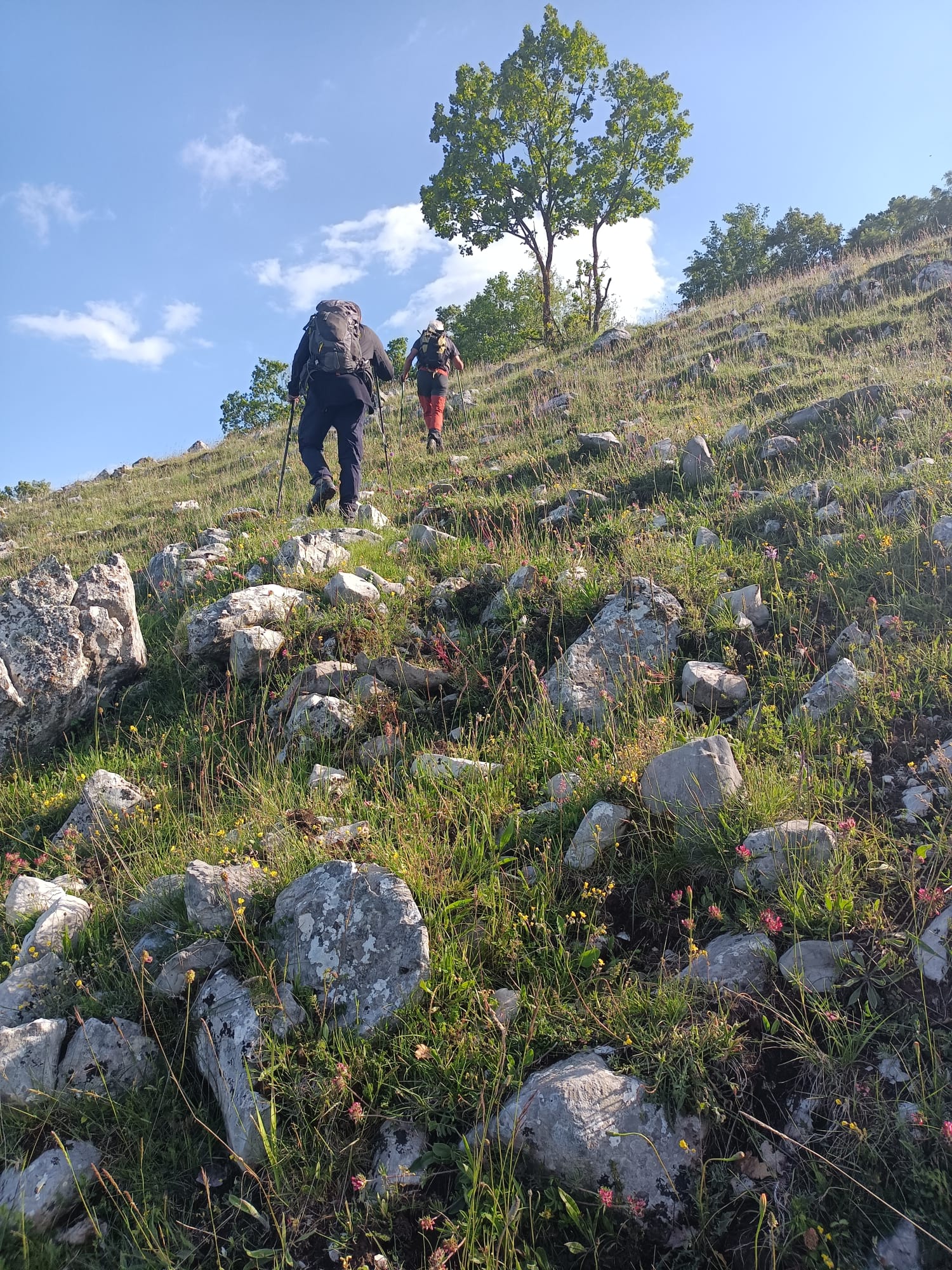 Foto escursione