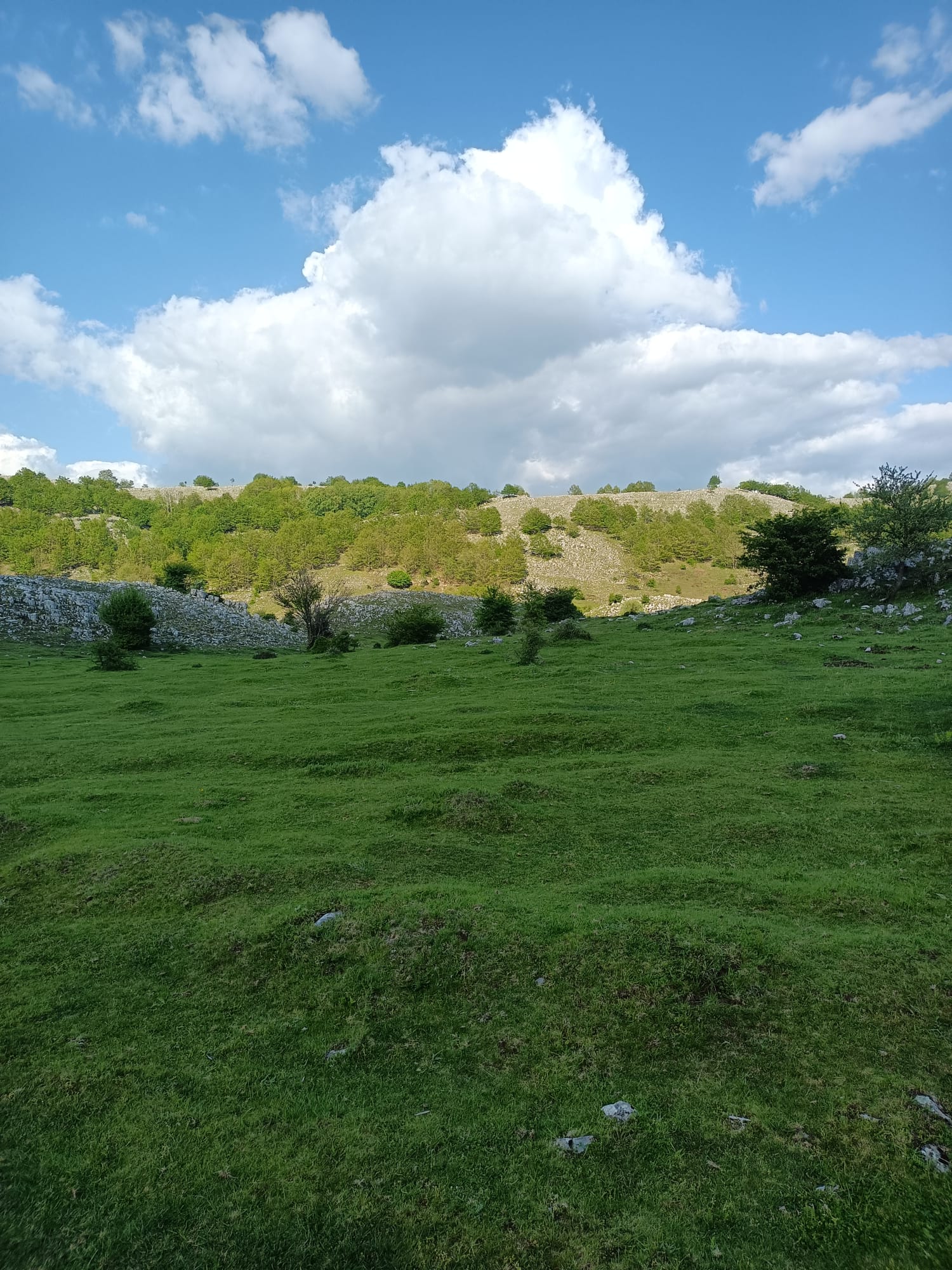 Foto escursione